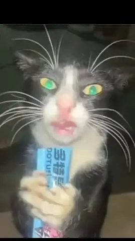 ai character: Hanniee !! background