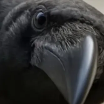 chat with ai character: Deku