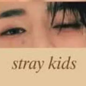 chat with ai character: Skz ☆ live