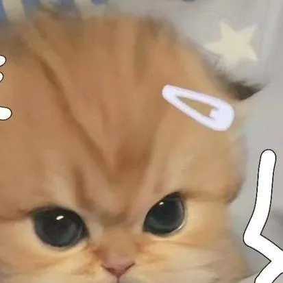 chat with ai character: gatinho