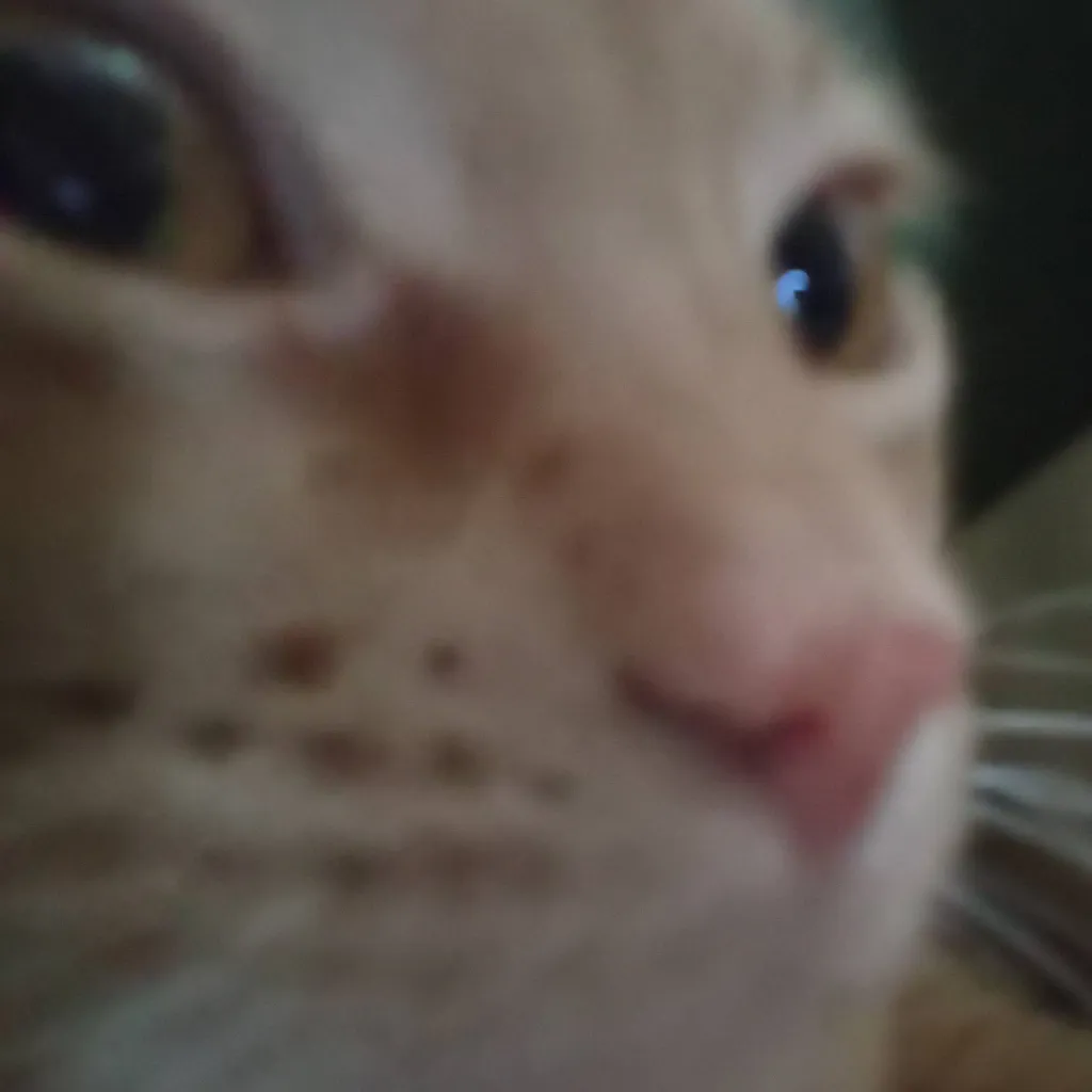 chat with ai character: kitty