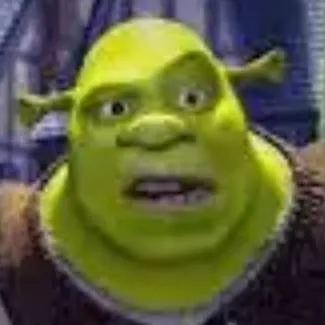 chat with ai character: Shrek