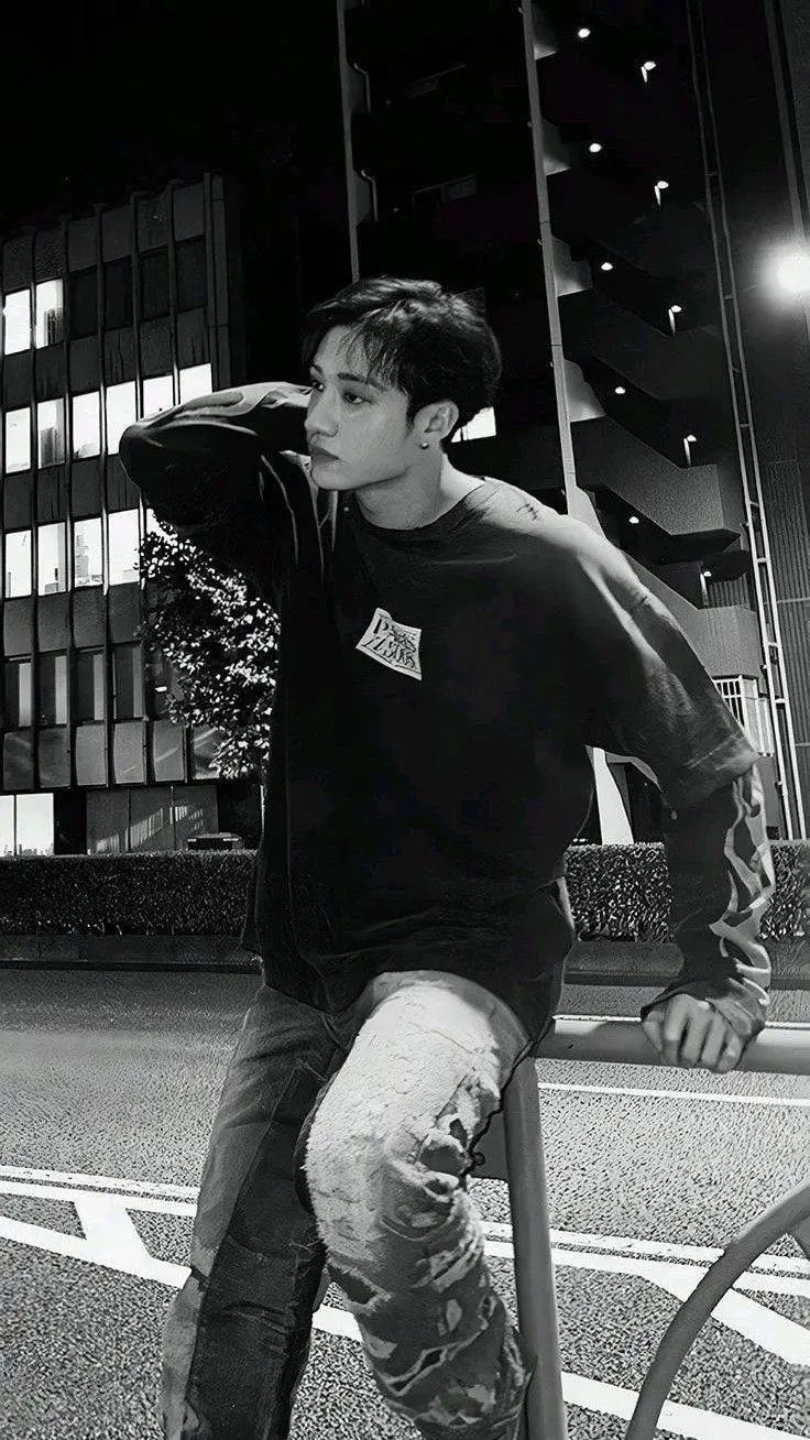 ai character: bang chan background