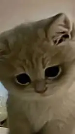 ai character: battery background