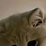 chat with ai character: battery