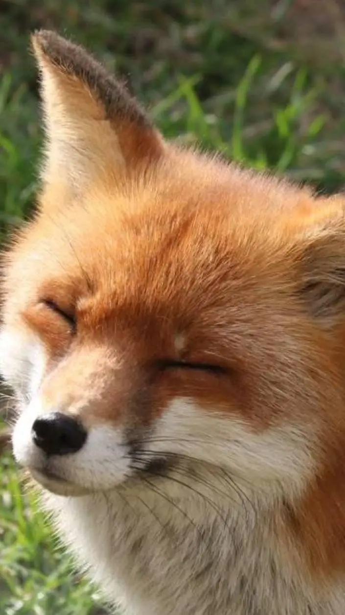 ai character: MW background