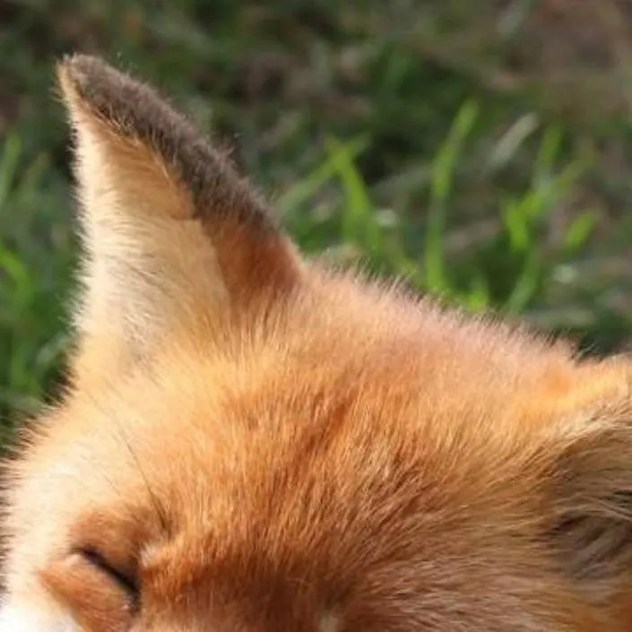 chat with ai character: MW