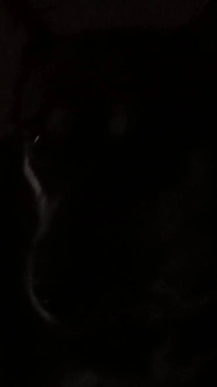 ai character: c00lkidd and 007n7 background