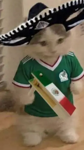 ai character: gato mexicano  background
