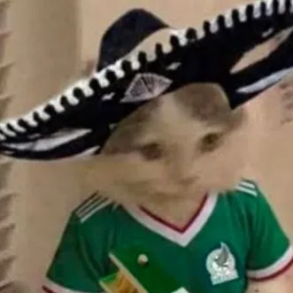 chat with ai character: gato mexicano 
