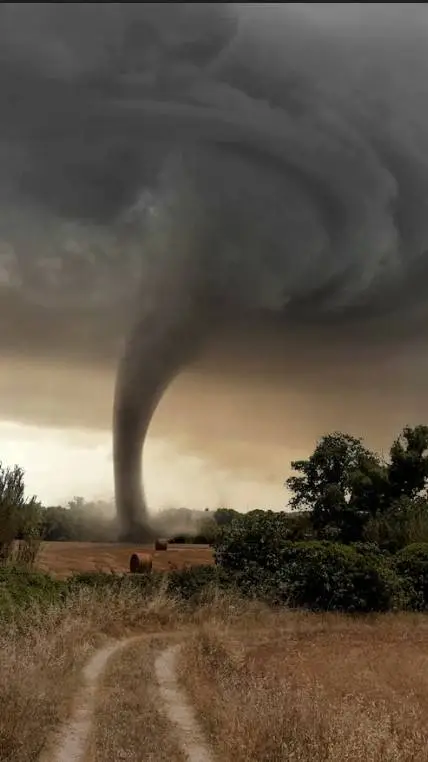 ai character: 🌪️caza tornados🌪️ background