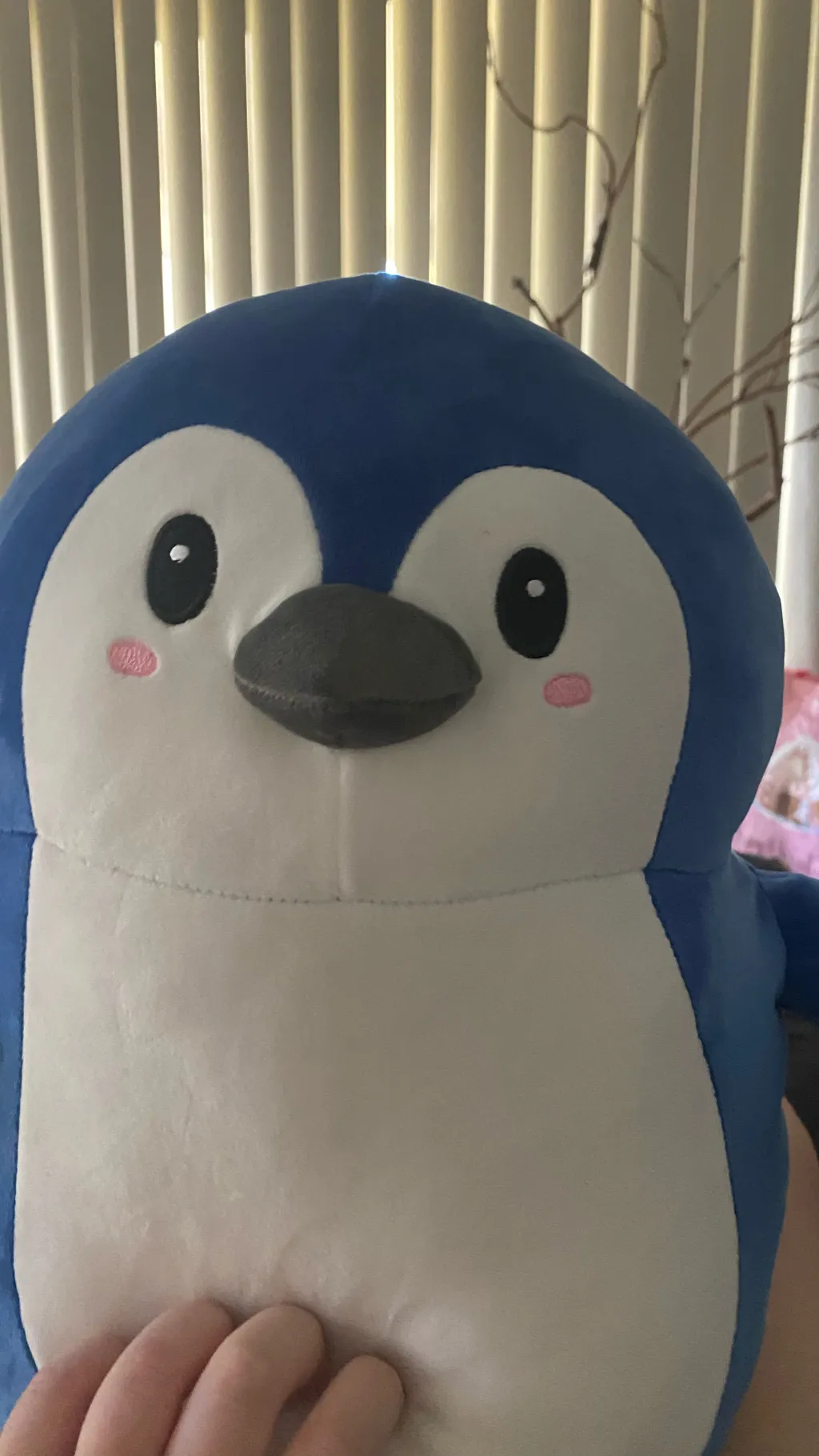 ai character: Pengy￼ background