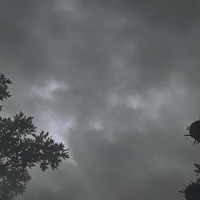 chat with ai character: Rant about stuff 