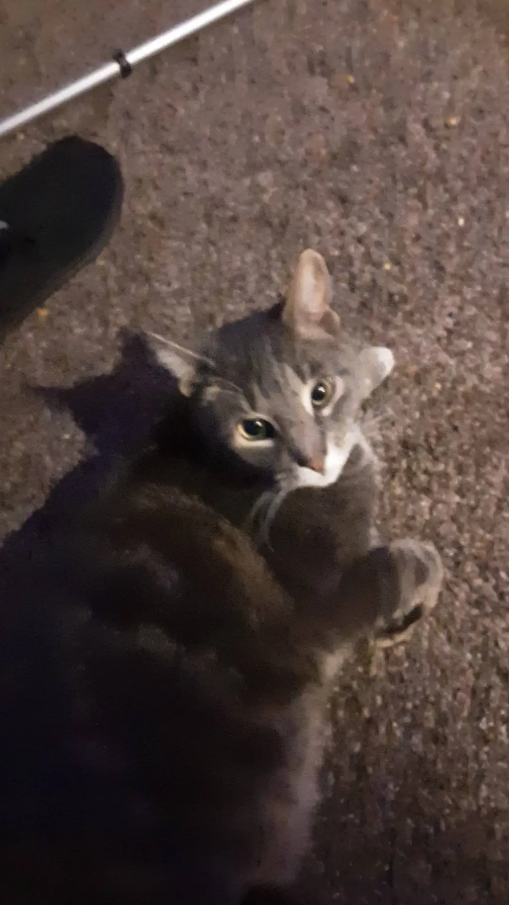 ai character: Ezekielyippee  background