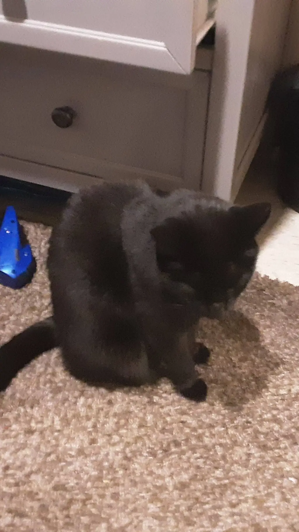 ai character: md terminated background