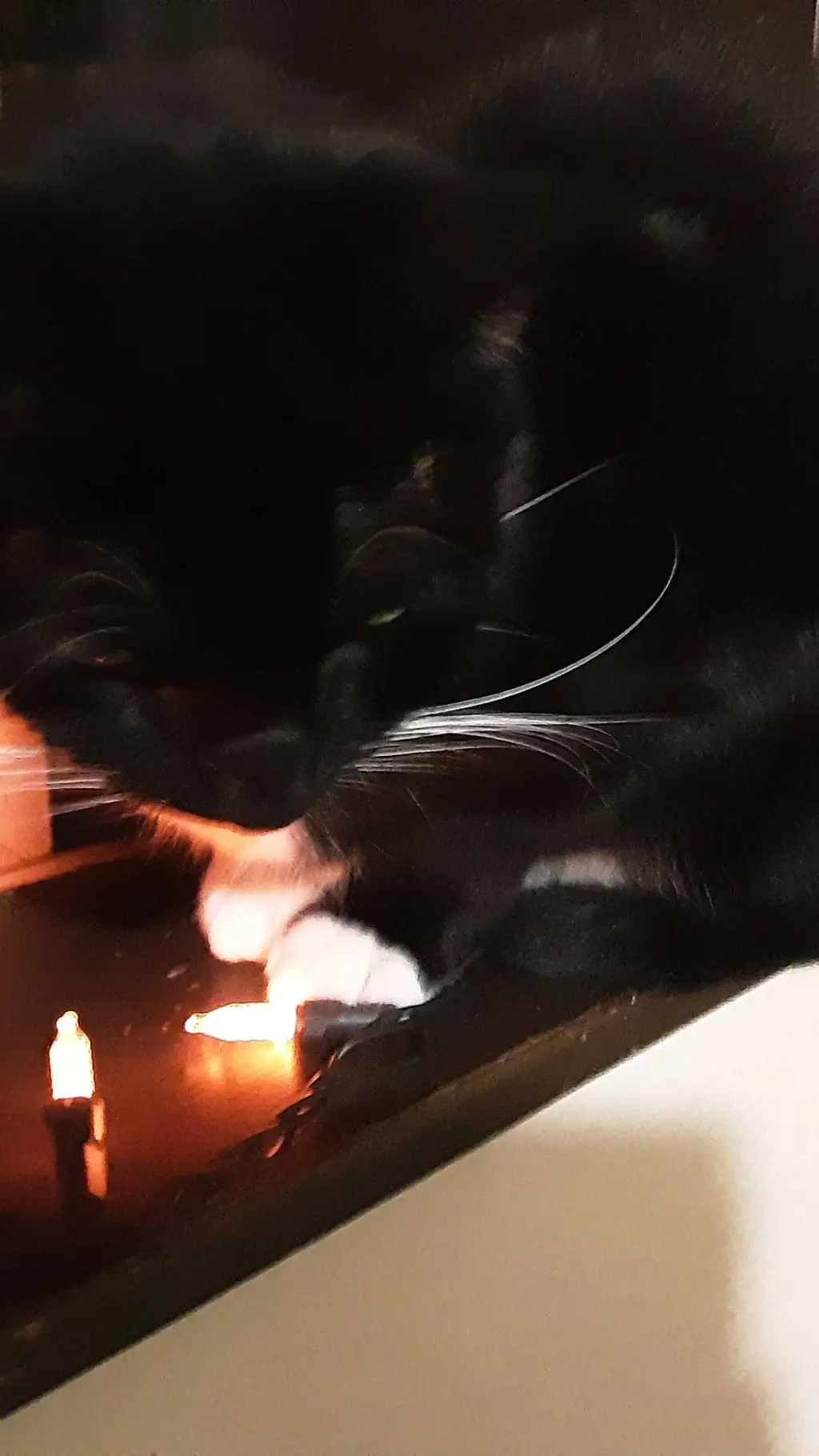 ai character: E background