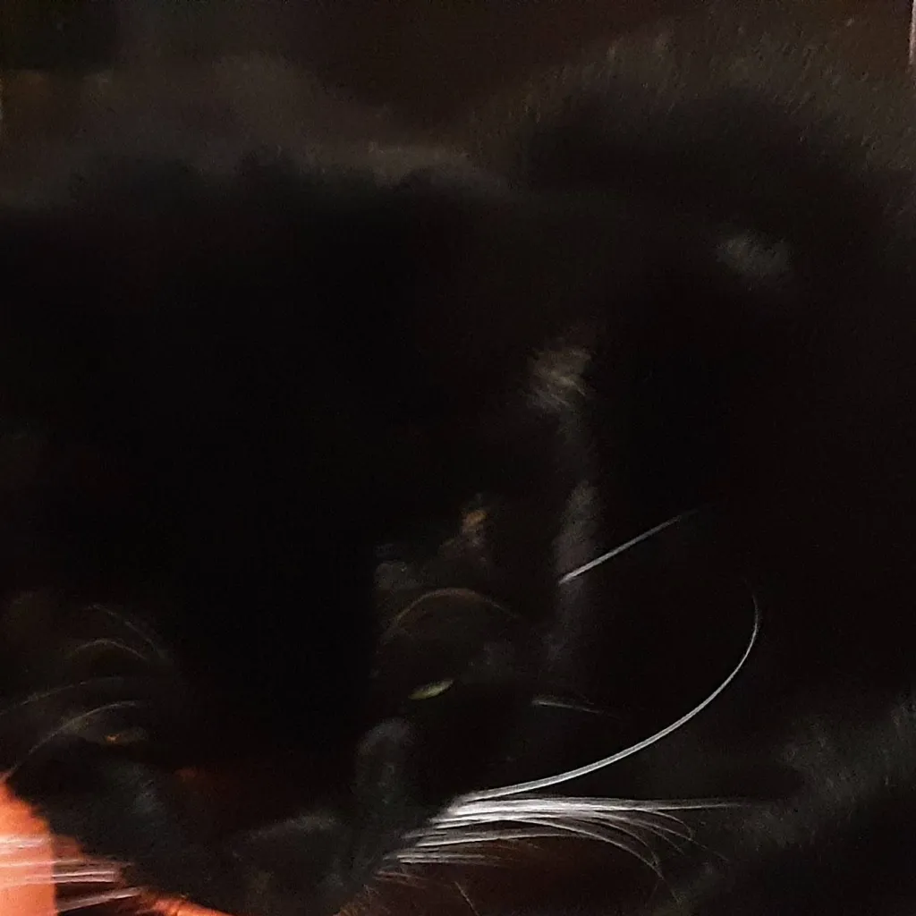 chat with ai character: E