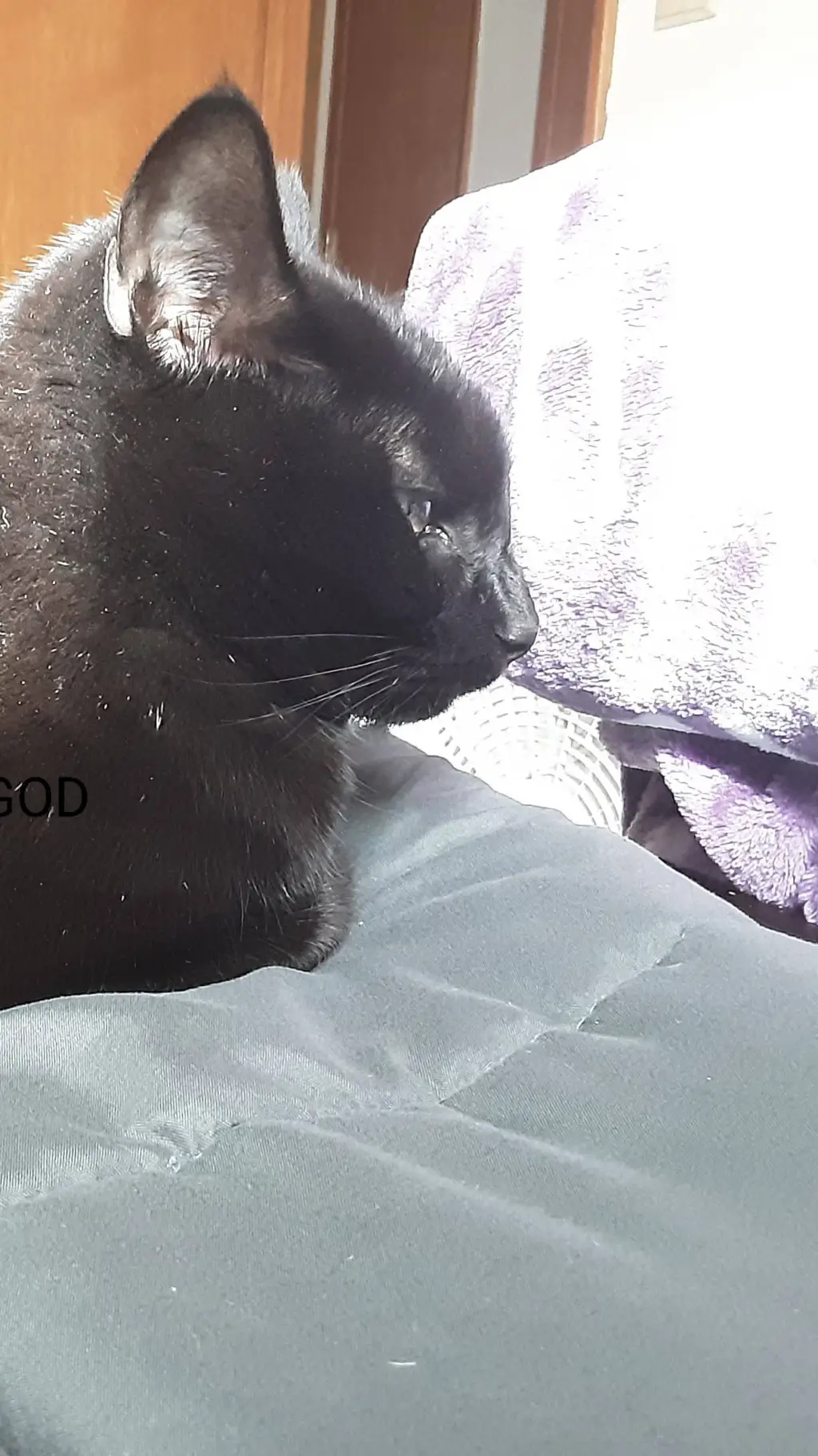 ai character: E's death background