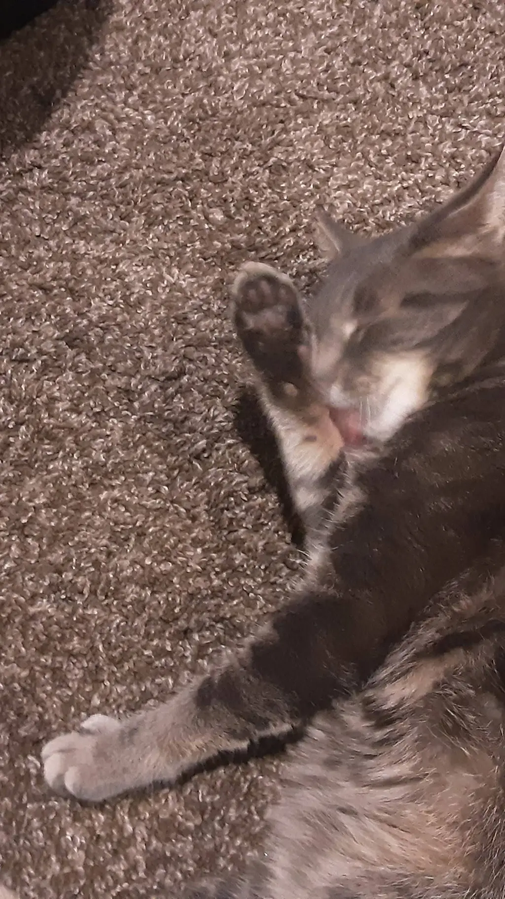 ai character: FNAE 2 background