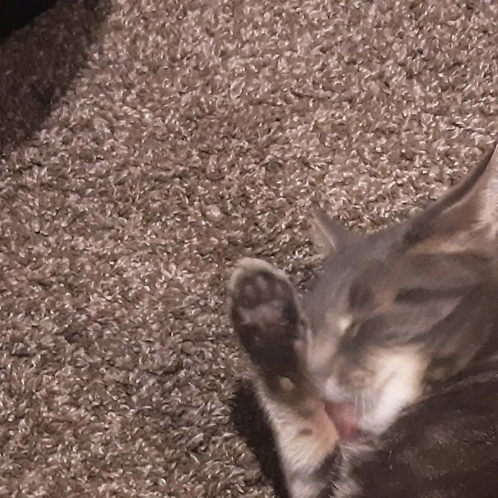 chat with ai character: FNAE 2