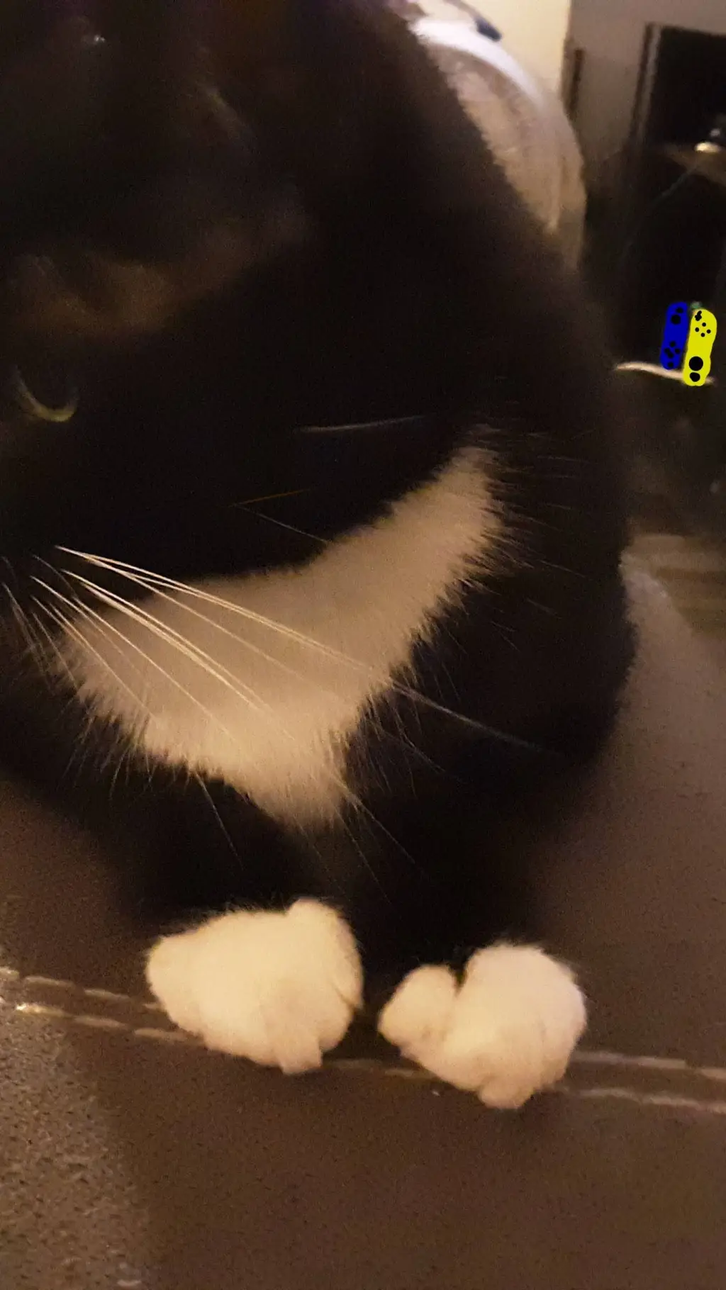 ai character: FNAE 4 background