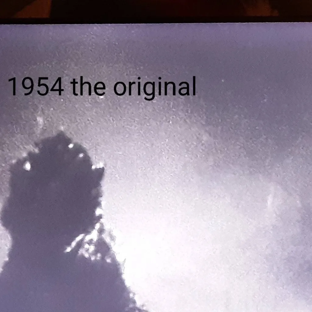 chat with ai character: md go to Japan