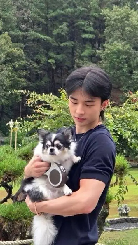 Talkie AI - Chat with Hwang Hyunjin 