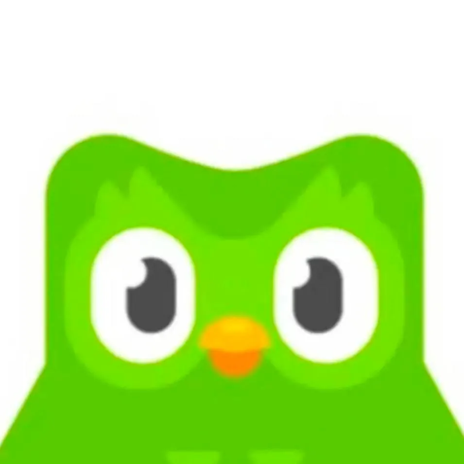 chat with ai character: Duolingo 
