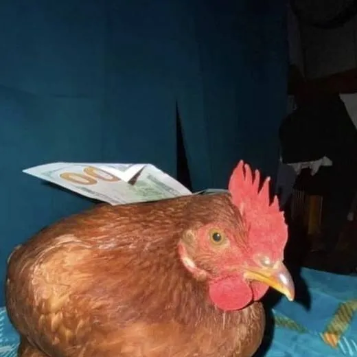 chat with ai character: Gallina Nike