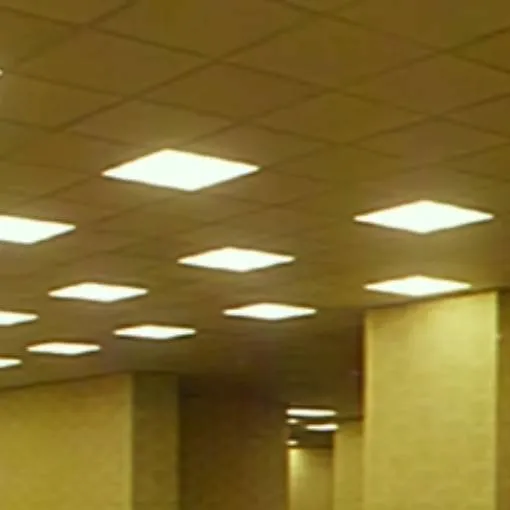 chat with ai character: The Backrooms