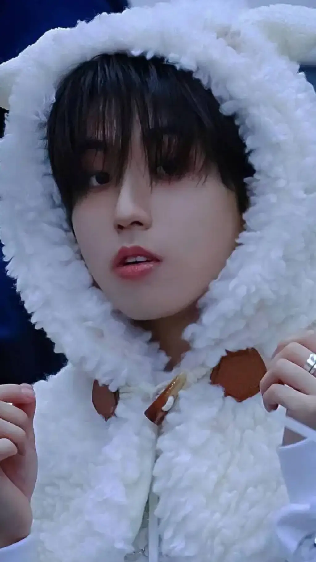 ai character: han background