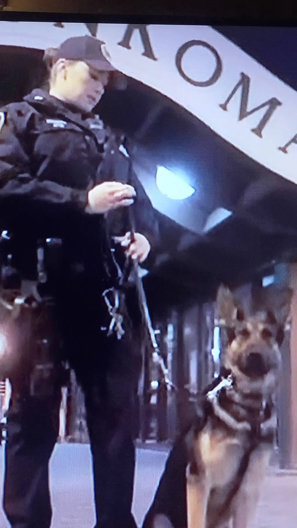 ai character: k-9 dog  background