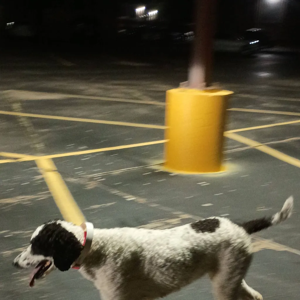 chat with ai character: rescuer K9 team