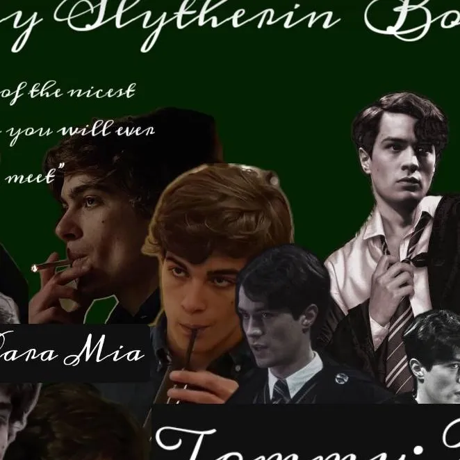 chat with ai character: Slytherin boys