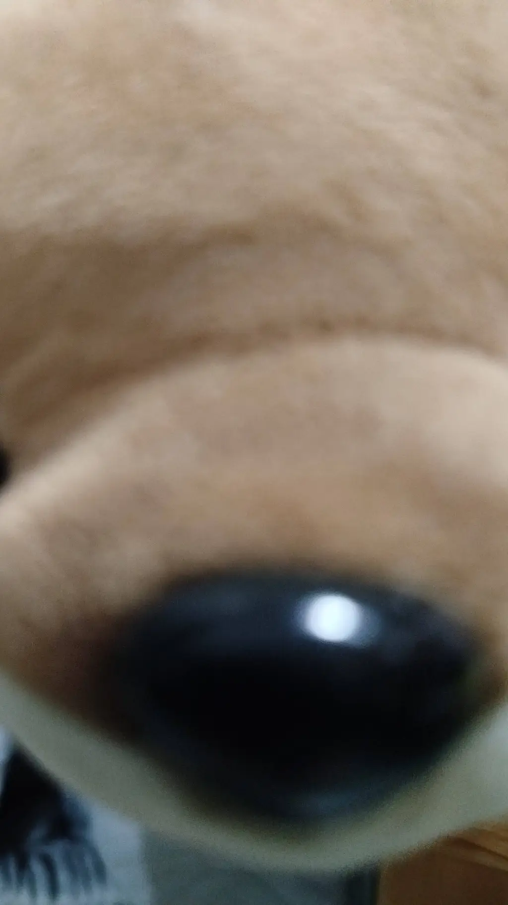 ai character: Goobies background