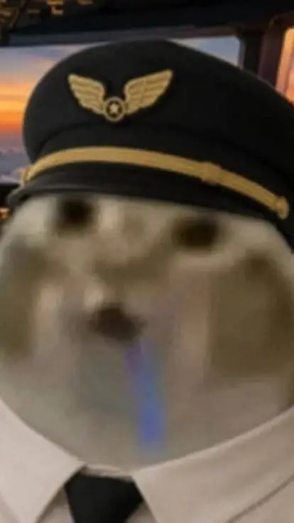 ai character: gatito piloto background