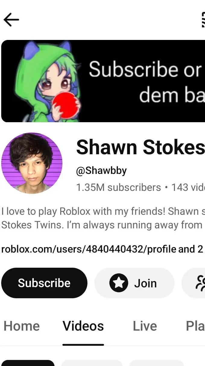 ai character: shawn stokes background