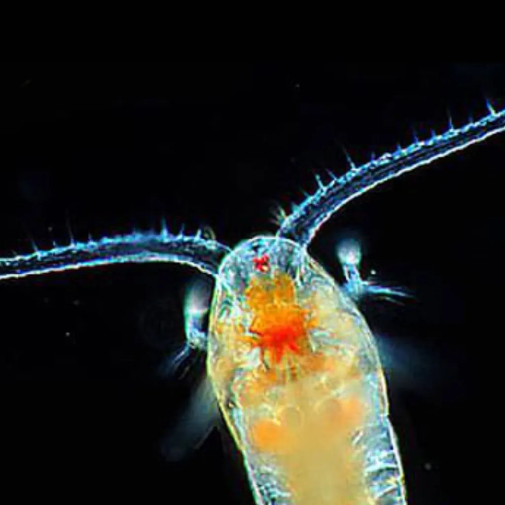 chat with ai character: talking plankton