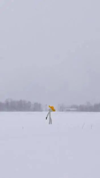 ai character: 🩶Shigure 👒 background