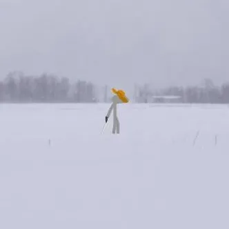 chat with ai character: 🩶Shigure 👒