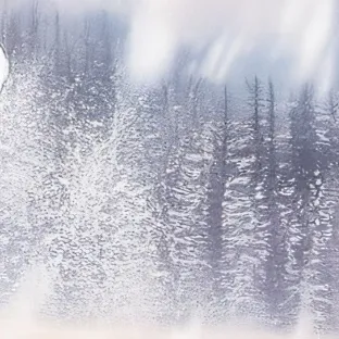 chat with ai character: Макарин