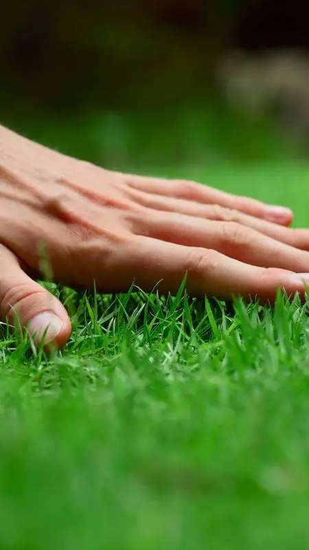 ai character: touch grass background