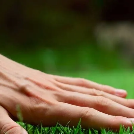 chat with ai character: touch grass