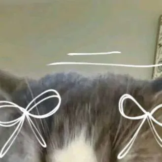 chat with ai character: Itrapped(girl★)