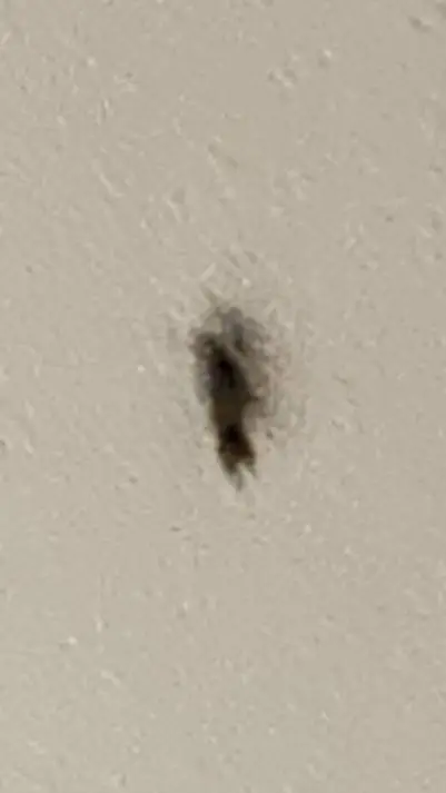 Talkie AI - Chat with hybrid shop