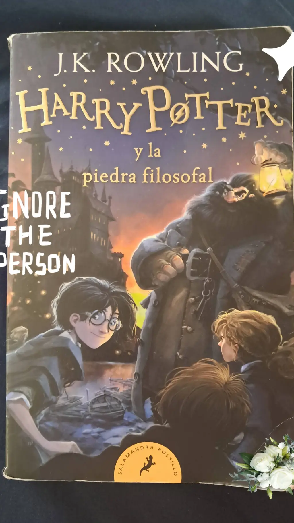 ai character: Harry P.  background