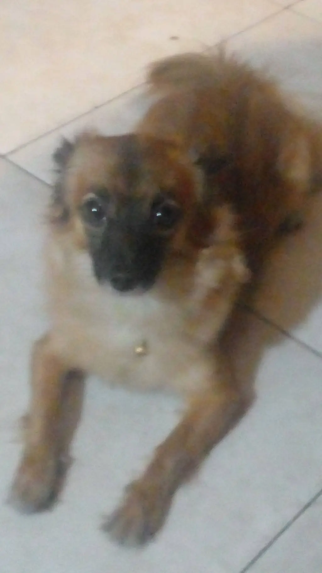 ai character: Forsaken (❄️) background