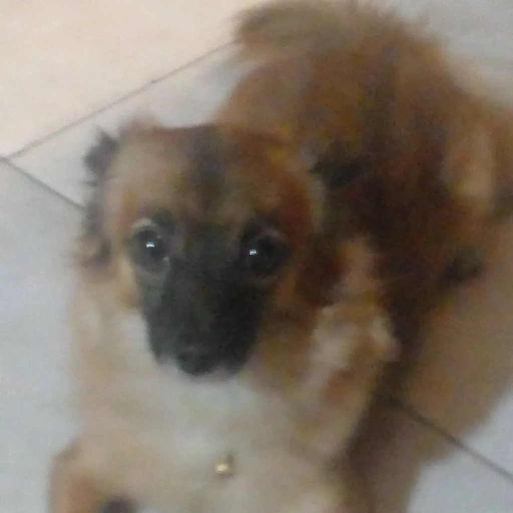 chat with ai character: Forsaken (❄️)