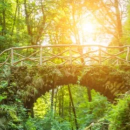 chat with ai character: School trip🌱★