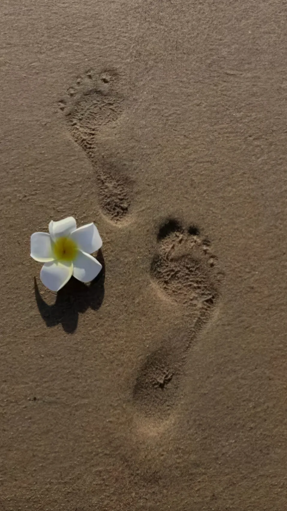 ai character: /-beach day-\ background